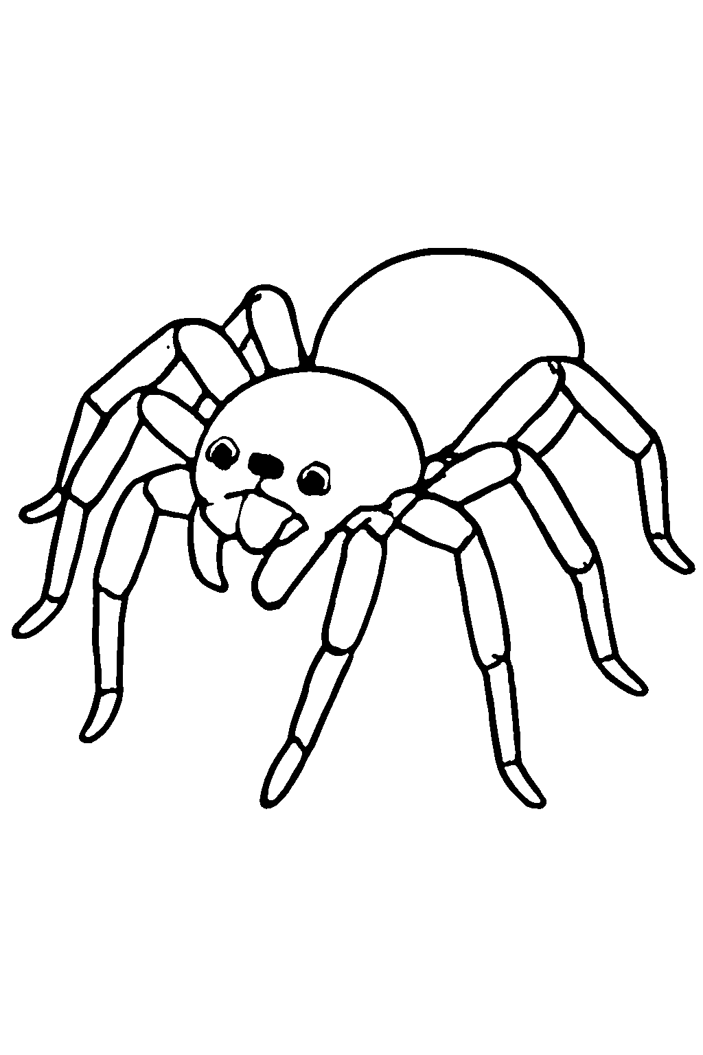 Ausmalbild Spinne: klare schwarz-weiße Linienzeichnung zum Ausdrucken und Ausmalen (Variante 4)